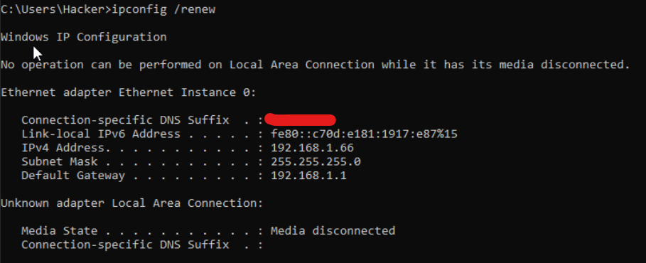 Windows Guest receive IP DHCP